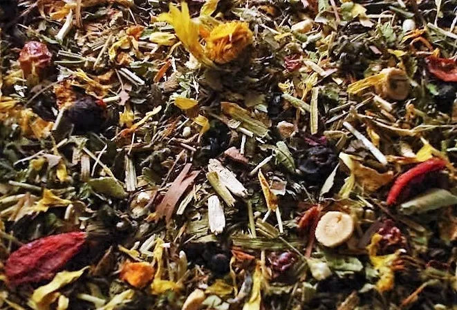 Organic Conscience Immunitea